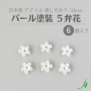 y AN r[Y 5ى p[h 10mm 6P j4 z { ANZT[p[c r[Y ʂ  t[ zCg  nhCh   | Ntg ANZT[ sAX