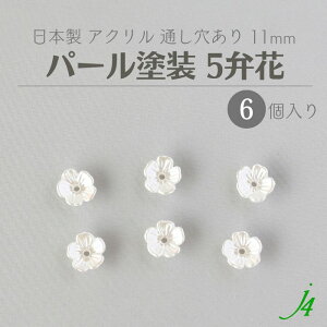 y AN r[Y 5ى p[h 11mm 6P j4 z { ANZT[p[c r[Y ʂ  t[ zCg  nhCh   | Ntg ANZT[ sAX