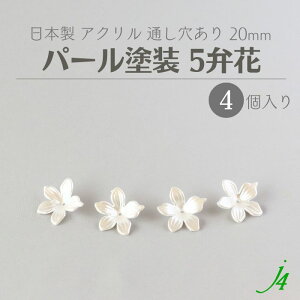 y AN r[Y 5ى p[h 20mm 4P j4 z { ANZT[p[c r[Y ʂ  t[ zCg  nhCh   | Ntg ANZT[ sAX