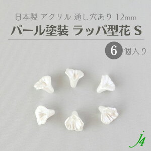 y AN r[Y bp^  S p[h 12mm 6P j4 z { ANZT[p[c r[Y ʂ  t[ zCg  nhCh   | Ntg ANZT