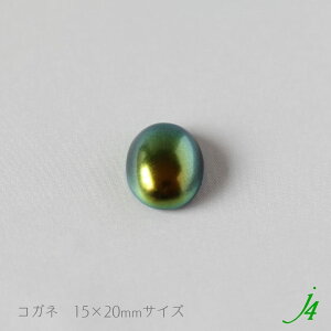 y ʒ r[Y J{V  I[o 15×20mmi1j j4 z { ANZT[p[c ȉ~   I[ \t ڒ sAX CO O