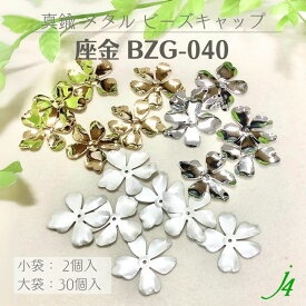 【 座金 BZG-040 2ヶ入／30ヶ入 j4 】 ビーズキャップ 花キャップ フラワーキャップ 花座 菊座 透かし スカシ 真鍮 メタル メタルパーツ ハンドメイド 手作り 手芸 工作 パーツビーズ 小袋 大袋 アクセサリー ピアス イヤリング ネックレス