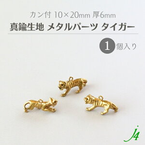 y ^J n ^ p[c ^CK[ Jt 10x20mm 1 j4z ANZT[p[c r[Y Tt@   g `[t LXg `[ ^ ^p[c nhCh  r[Y