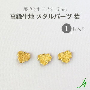 y ^J n ^ p[c t Jt 12x13mm 1 j4z ANZT[p[c r[Y [t t A `[t LXg `[ ^ ^p[c nhCh  r[Yp[c 