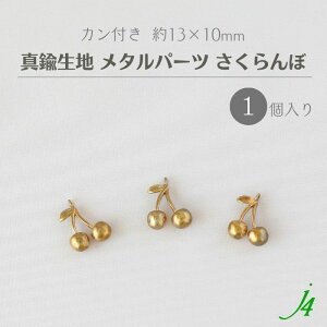 y ^J n ^ p[c  Jt 13×10mm 1 j4 z ANZT[ p[c r[Y R `F[ t[c `[t LXg `[ ^ p[c nhCh  | 