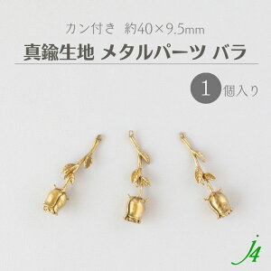 y ^J n ^ p[c o Jt 40×9.5mm 1 j4 z ANZT[ p[c r[Y KN A  t[ `[t LXg `[ ^ p[c nhCh  | H 