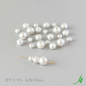 y gl[h p[ r[Y 6`10mm PV zCg }bg j4 z{ ANZT[p[c ʂ ʂ p[ CA[g v vX`bN  nhCh  p[c 