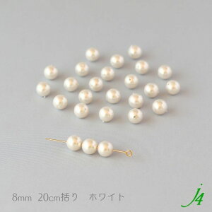 y I[KX p[ r[Y ۋ  zCg 6/8mm 20cmj4 z { ANZT[p[c ʂ C~e[V ~KL c Ƃ nhCh  H Ntg r[Yp[