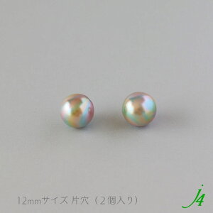 y vlbg p[ Ws^[ ۋ Ќ 10mm / 12mm j4 z ANZT[p[c { r[Y p[c v vX`bN ؐ f F Pearl Б   nhCh  |  
