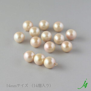 y BgC p[ ۋ 4`14mm LXJ s[` j4 z ANZT[ p[c ޗ {  r[Y v vX`bN C~e[V J[ ^ Pearl h ʂ nhCh  