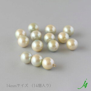 y BgC p[ ۋ 4`14mm LXJ }XJbg j4 z ANZT[p[c {  r[Y p[c v vX`bN C~e[V J[ ^ Pearl h ʂ nhCh 