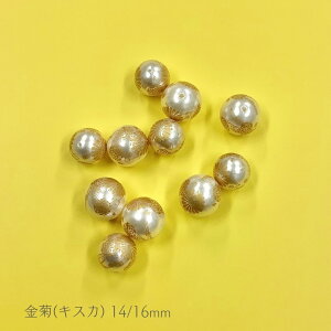 y AN ] r[Y ۋ e 14mm 16mm j4z { ANZT[ p[c r[Y v vX`bN A p[ NA e LN S[h F  t ͗l ʂ a aG a 