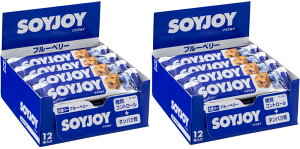 ��ː��� �\�C�W���C �u���[�x���[ 30g×24�{