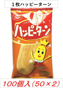 nbs[^[ 1×100܁i50×2Bj@Tc