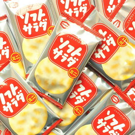 亀田製菓　小分け小袋（ソフトサラダせん400袋）