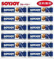大塚製薬 ソイジョイ ブルーベリー 12本 送料無料 ネコポス便
