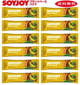 ː \CWC SOYJOY vgx[X oii 12{ @lR|X