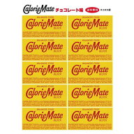 大塚製薬 カロリーメイト チョコレート味 2本入り×10個 送料無料 ネコポス便