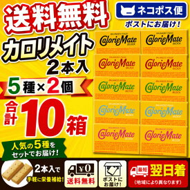 大塚製薬 カロリーメイト アソート5種×各2箱（合計10箱） 送料無料 ネコポス便 3/22リニューアル