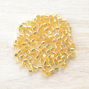 MIYUKIgCAOr[Y@@TR1102@ANZT[p[c