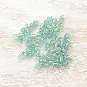 MIYUKIgCAOr[Y@ANA@TR1821@ANZT[p[c