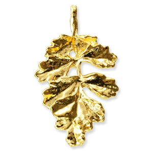 ^p[c [t S[h@29×17mmiJ܂ށj@4@ANZT[p[c