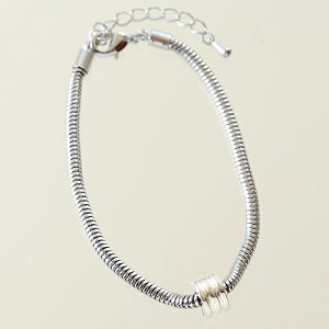 `F[uX Vo[(WEJ[)@17cmiAWX^[j@1Zbg@ANZT[p[c