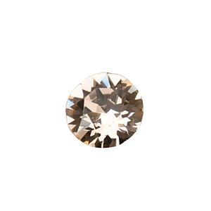 y݌ɌzXtXL[EGg@#1028@PP13@VN/F@r[Y@ANZT[p[c