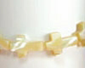 VF/\ˁ@x[Wi12×9mmE40cm/1{)yANZT[p[c/r[Y/nhCh/|/p[Xg[z
