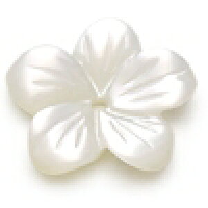 VF/t[@zCgi10mmE1jyANZT[p[c/nhCh/|/p[Xg[zyr[Y/t[r[Yz