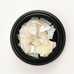 rWN[/VF`bv zCgABynhCh/ANZT[zy|/W/lCz