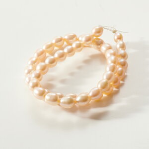 y݌ɌzWp[@obN@sNny^/p[/^Zbg/Wp[Zbgzyr[Y/|//nhCh/ANZT[p[cz