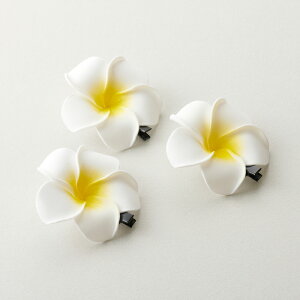 vA@X|Wt[Nbv@y|//nhCh/ANZT[p[c/Nbvs/nCAz