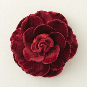 yizy݌ɌzRT[Wp[ciȂjxxbgbhyu[`EwAANZT[EnhChE|EEEwEEƁEfRz