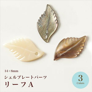 yԗDǃVbv2025N8LO50%0FFSALEzVFv[gp[c [tA S3Fy݌Ɍ/r[Y/VRVF/nhCh/|/nhChANZT[/āz