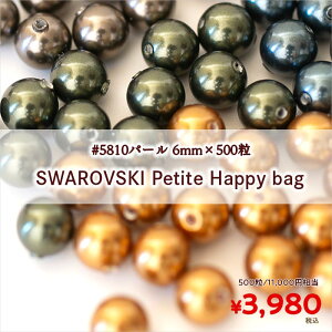 XtXL[v`܁u#5810p[ 6mm×500vy܁Enbs[obOEr[YEKXr[YANZT[p[cEnhChE|Enbs[pbNz