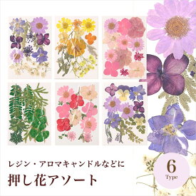 押し花アソート 花材 レジン封入素材 アロマキャンドル 手芸 ハンドメイド ネイル 花 素材 アクセサリー レジン 押し花アート 花資材 封入物 ドライフラワー 封入パーツ フラワー 天然素材 おしゃれ 押し花乾燥シート 押し花キット レジンアクセサリーパーツ レジン花材