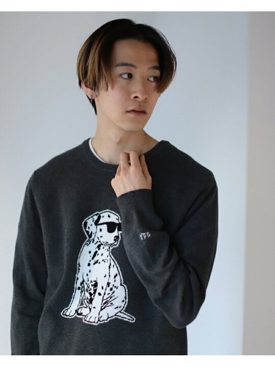 楽天市場】【SALE／40%OFF】fLAnsisCA / Jacquard knit 21 BEAMS T 