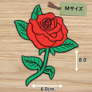 AC by( o ԐF )( MTCY )