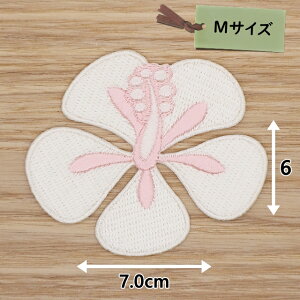 ACby( nCrXJX F )(MTCY)