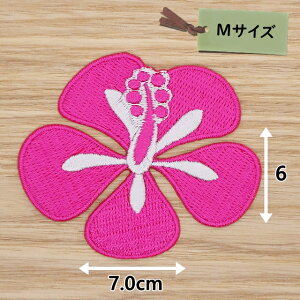 ACby( nCrXJX sN )(MTCY)