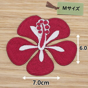 ACby( nCrXJX GW )(MTCY)