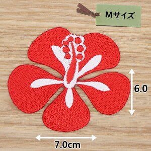 ACby( nCrXJX  )(MTCY)