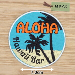 ACby( ALOHA An  )(MTCY)