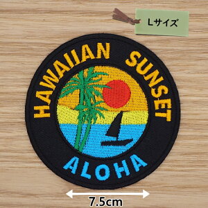 ACby( ALOHA TZbg  )(LTCY)