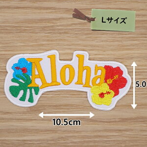 ACby( ALOHA An  )(LTCY)