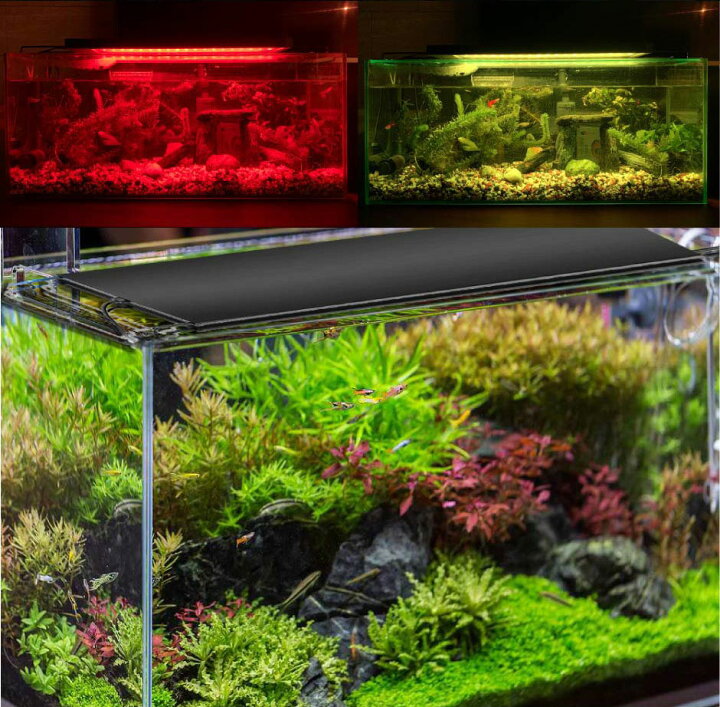 楽天市場 Led 水槽 アクアリウムライト 水槽ライト 90cm 100cm 36w 1100lm 水槽対応 水槽用照明 アクアリウム ライト Rgb 観賞魚ライト 熱帯魚 ライト 観賞魚飼育 ビオトープ 水草育成 Aqua90ii ビームテック ビームテック