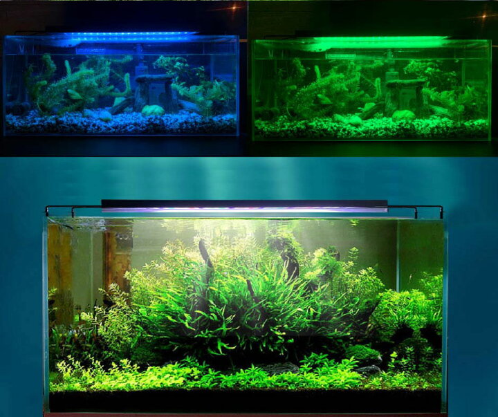 楽天市場 最大80 Off商品 Cp Led 水槽 アクアリウムライト 水槽ライト 60cm 75cm 22w 1100lm 水槽対応 水槽用照明 アクアリウム ライト Rgb 観賞魚ライト 熱帯魚 ライト 観賞魚飼育 ビオトープ 水草育成 Aqua60ii ビームテック ビームテック