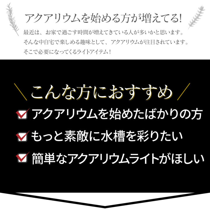 楽天市場 Led 水槽 アクアリウムライト E26 水槽ライト w 水槽対応 水槽用照明 アクアリウム ライト Rgb 観賞魚ライト 熱帯魚 ライト 観賞魚飼育 ビオトープ 水草育成 海水 サンゴ ライブロック Ldraq W38 ビームテック ビームテック