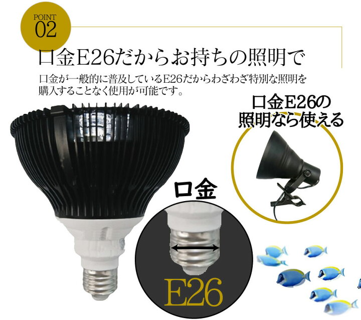 楽天市場 Led 水槽 アクアリウムライト E26 水槽ライト w 水槽対応 水槽用照明 アクアリウム ライト Rgb 観賞魚ライト 熱帯魚 ライト 観賞魚飼育 ビオトープ 水草育成 海水 サンゴ ライブロック Ldraq W38 ビームテック ビームテック